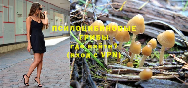 тгк Арсеньев